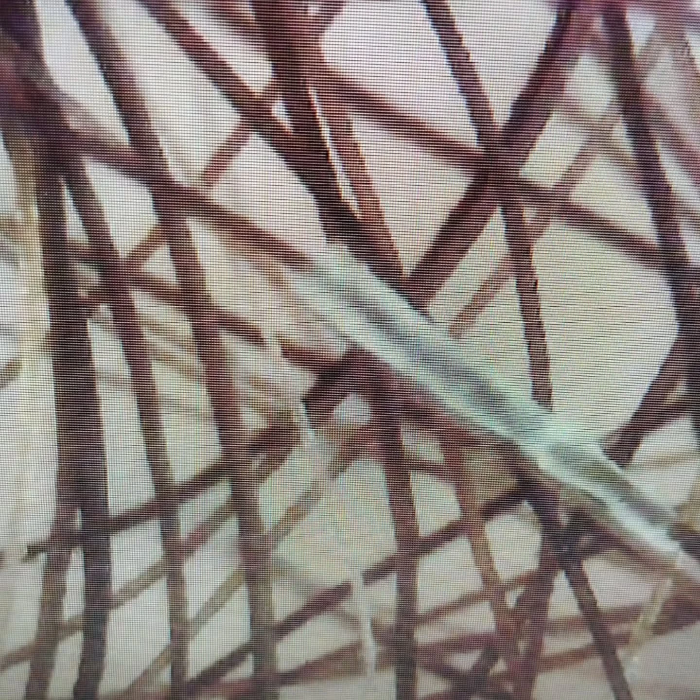 Перифоликулярная муфта