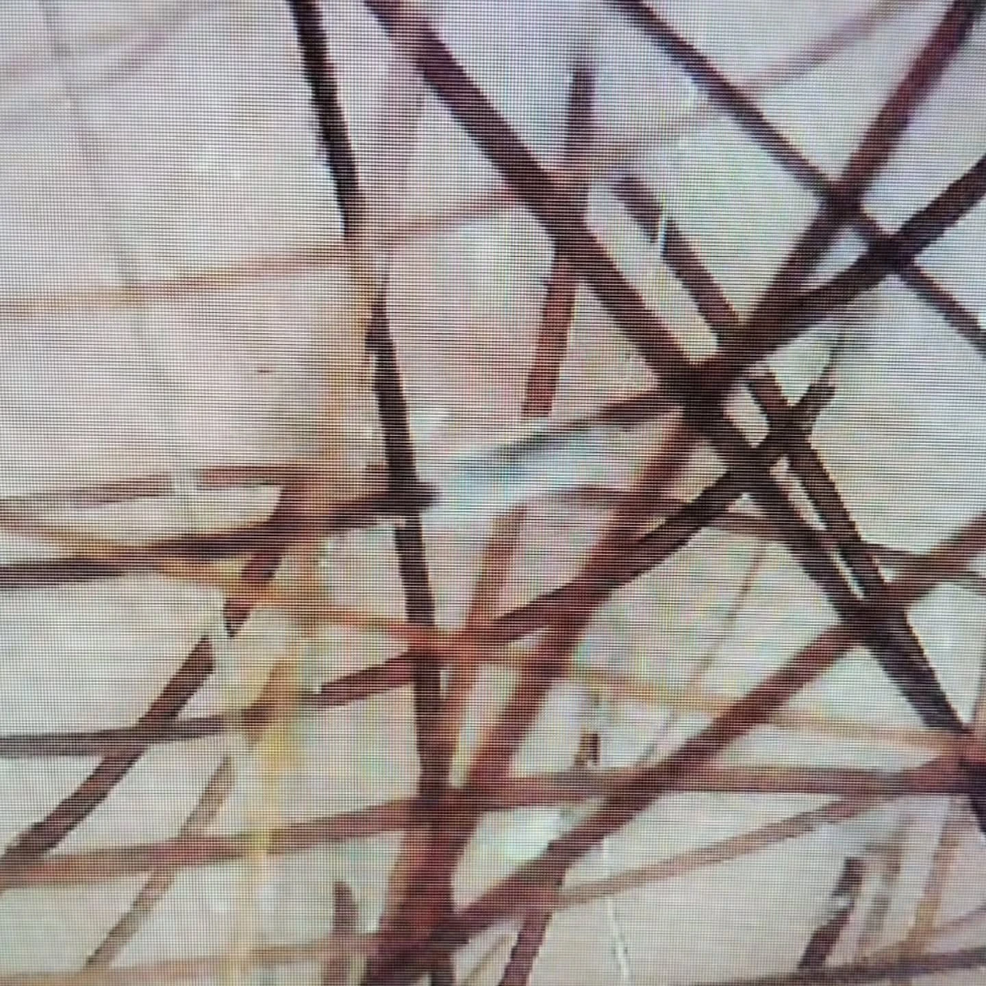 Перифоликулярная муфта